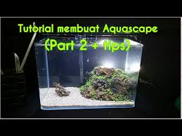 The co2 kit includes basic equipments of co2 supply for 60cm standard size aquarium. Aquascape Pemula Tanpa Co2 Aquatic Videos