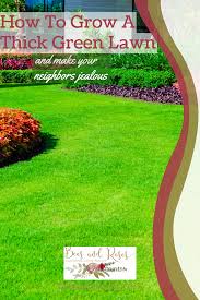 Come in and purchase your professional grade do it yourself pest control products and pay a fraction of the cost you would pay a professional. How To Grow The Thickest Lawn In The Neighborhood Fall Lawn Care Spring Lawn Care Winter Lawn Care