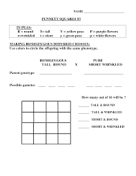 Worksheets are dihybrid cross biology key, chapter 10. More Dihybrid Crosses Worksheet Printable Worksheets And Activities For Teachers Parents Tutors And Homeschool Families