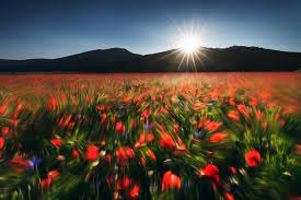 Maybe you would like to learn more about one of these? Understanding Lens Flare In Landscape Photography Icela
