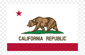Maybe you would like to learn more about one of these? California State Flag Hd Png Download 800x600 6890056 Pngfind