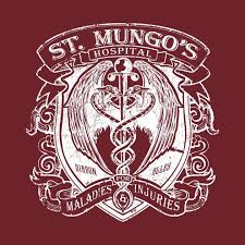 St Mungo S Hospital Harrypotter Harrypotterforever Voldemort Hogwarts Quidditch Ravencl Harry Potter Crafts Harry Potter Cosplay Harry Potter Pictures