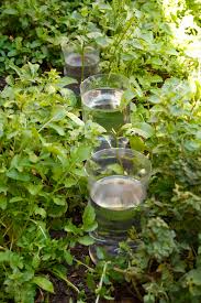 It is time for the slugs and snails to come out and do their damage. Make A Diy Drip Irrigation System Using Plastic Bottles Sa Garden And Home