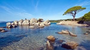 We did not find results for: Plage De Palombaggia Ensoleillee Nature Haute Qualite Fond D Ecran Apercu 10wallpaper Com