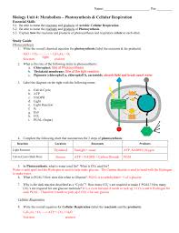 biology unit 4 metabolism photosynthesis cellular