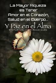 La Mayor Riqueza Es Tener Amor En El Corazon Salud En El Cuerpo Y Paz En El Alma Frases De Motivacion Diaria Frases Bonitas De Buenos Dias Frases