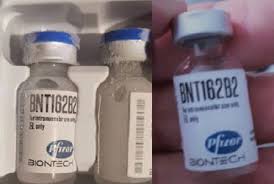 The diagram below, from the encyclopaedia britannica, shows how messenger. Securingindustry Com Who Warns Of Fake Pfizer Biontech Covid Shot In Americas