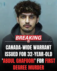 A Toronto judge has granted bail to a former Ontario defence lawyer accused  by U.S. authorities of advising fugitive and drug kingpin Ryan Wedding to  murder a federal witness. Superior Court Justice