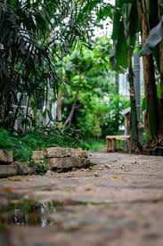 In this tutorial we will learn to search high resolution images or photos on google.subscribe: Best 500 Garden Photos Hd Download Free Photos On Unsplash