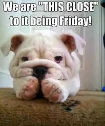 Thursday mornings are not often a pleasant experience for many, as most people lovethispic offers good morning, have a lovely day, happy thursday pictures, photos & images, to be used on facebook, tumblr, pinterest, twitter. 80 Funny Thursday Memes Images Pictures Photos