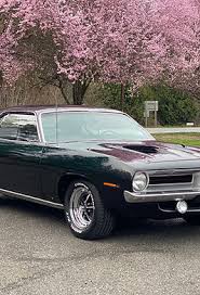 Image result for Dark Green 1966 Barracuda