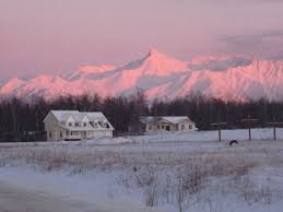 2851 e palmer wasilla hwy unit 1, wasilla, ak 99654 local: Flowers By Louise Inc Home Facebook