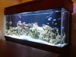 Star_border star_border star_border star_border star_border. 110 Gallon Oceanic Reef Ready Aquarium Complete Systems Austin Reef Club