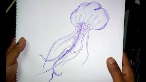 Check spelling or type a new query. Get Inspired For Jellyfish Drawing Realistic Images