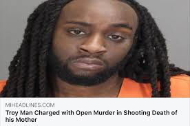 A Troy man who fatally wounded his mother with a single shot to the head  while she drove them home from a Thanksgiving Eve family dinner near the  Pleasant Ridge-Royal Oak border