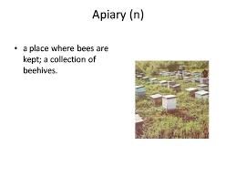 Apiary Meaning Gre Cat Vocabulary Vocabulary English Vocabulary Vocabulary Cards