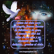 Https Encrypted Tbn0 Gstatic Com Images Q Tbn And9gcqckclglspesu3kxvwerpejn742xyy0eikbsq Usqp Cau