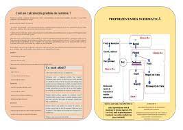 Unul dintre soti este ruda afina cu rudele. Cum Se Calculeaza Gradele De Rudenie 05 03 2018