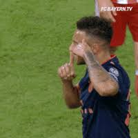 #hahohe #hahohe #herthabsc #hertha #. Hertha Berlin Sport Gif By Hertha Bsc Find Share On Giphy