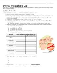 Body System Interactions Stations Lab Body Systems Human Body Systems Biology Lessons
