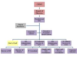 organizational chart st josephs health centre