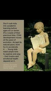 Don T Rush Kids Into Academic Learning Child Development Emotional Health Childhood Education
