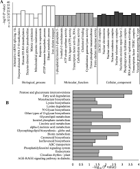 Maybe you would like to learn more about one of these? Melatonin May Increase Disease Resistance And Flavonoid Biosynthesis Through Effects On Dna Methylation And Gene Expression In Grape Berries Bmc Plant Biology Full Text