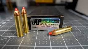 Image result for 450 bushmaster ammo