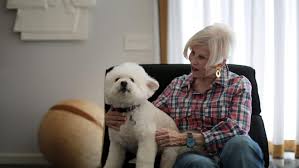 Pet memorial services near me. Pet Memorial Services Flourish In Palm Springs
