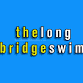 Long Bridge Swim event image