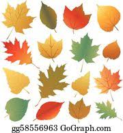 Thanksgiving autumn leaf color place card drawing, autumn leaves transparent background png clipart. Autumn Leaf Clipart Lizenzfrei Gograph