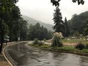 نتیجه تصویری برای ناهارخوران گرگان