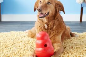 We did not find results for: 3 Puzzle Toys To Keep Your Dog Entertained In Quarantine Wirecutter