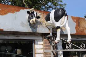 Free for commercial use no attribution required high quality images. The Cow Shed At Meadow View Home Facebook