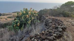 About the le terrazze sul mare. Insolita Trekking A Ustica Riparto Da Un Viaggio