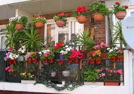 21 Green Ideas For Beautiful Balcony Decorating With Flowers Small Balcony Garden Balcony Hanging Plants Hanging Plants