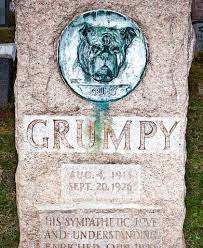 Explore other popular pets near you from over 7 million businesses with over 142 million reviews and opinions from yelpers. New York Burial Plots Will Now Allow Four Legged Companions The New York Times