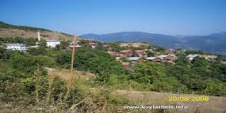 Kastamonu bozkurt ilçesine ait parsel sorgulamasnı aşağıda bulunan form üzerinden yapabilirsiniz. Bozkurt Seyhoglu Koyu