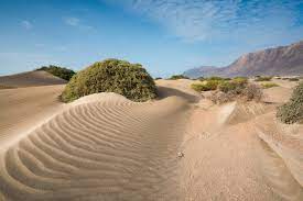 El Jable, Lanzarote's secret treasure » Turismo Lanzarote