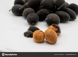 Image result for Dialium