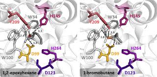 3, 6, 23, 28, 34, 44 en het reserve getal: Https Pubs Acs Org Doi Pdf 10 1021 Acscatal 1c00851
