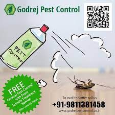 Get Offer Godrej Pest Control Noida Dial 919811381458 Pest Control Service In Bhiwadi Gurgaon Click In