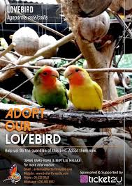 The melaka butterfly and reptile sanctuary (malay: Be The Guardian Of The Animals Adopt Our Animals In Melaka Butterfly Reptile Sanctuary