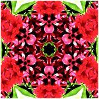 Create, solve, share and compete at jigidi.com. Free Online Jigsaw Puzzles Page 308 Jigidi Com