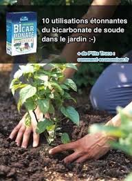 10 Utilisations Etonnantes Du Bicarbonate De Soude Dans Le Jardin Bicarbonate De Soude Ravageurs Du Jardin Astuce Jardin