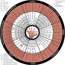 Hand Assessment Chart A Palm Reading Profile Via 36 Hand Features Palm Reading Palm Reading Charts Colors And Emotions