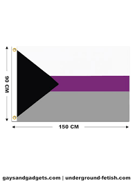 Bright side has carefully studied this new idea of sexuality and outlined 10 signs that can indicate you could be demisexual. Demisexual Pride Flag Printed 90 X 150 Cm Gays Gadgets Amsterdam