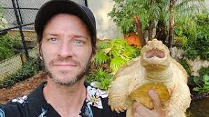 My Favorite Commercial Turtle Food! Am I Getting MORE Turtles? October QandA