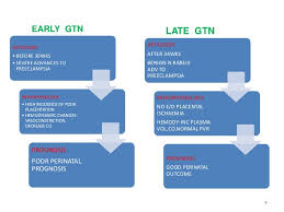 Pregnancy Induced Hypertension Pathophysiology