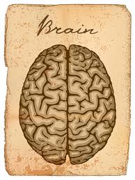 How To Promote Brain Health The Healthy Aging Checklist Part 1 Better Health While Aging